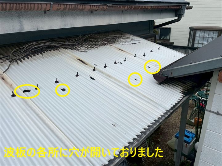 波板の各所に穴が開いておりました①