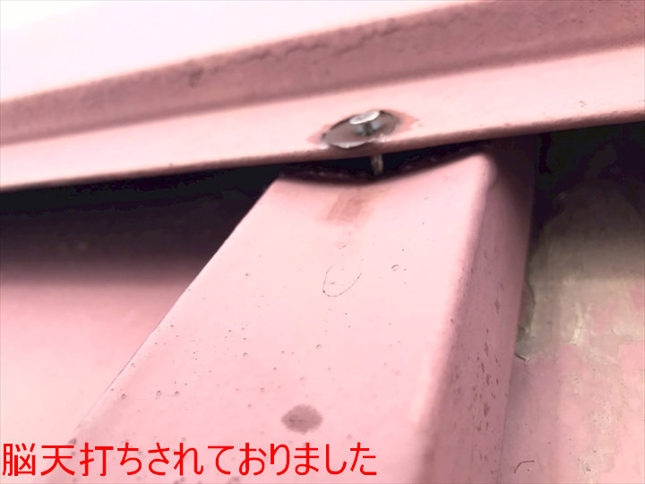 脳天打ちされておりました