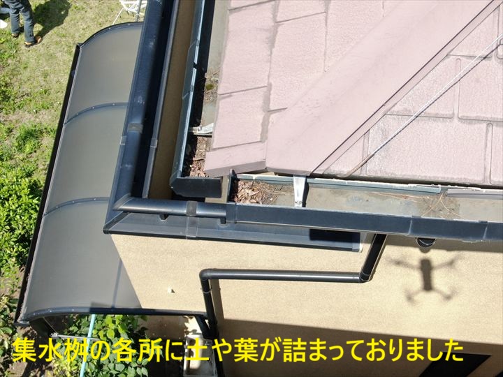 雨樋の詰まり