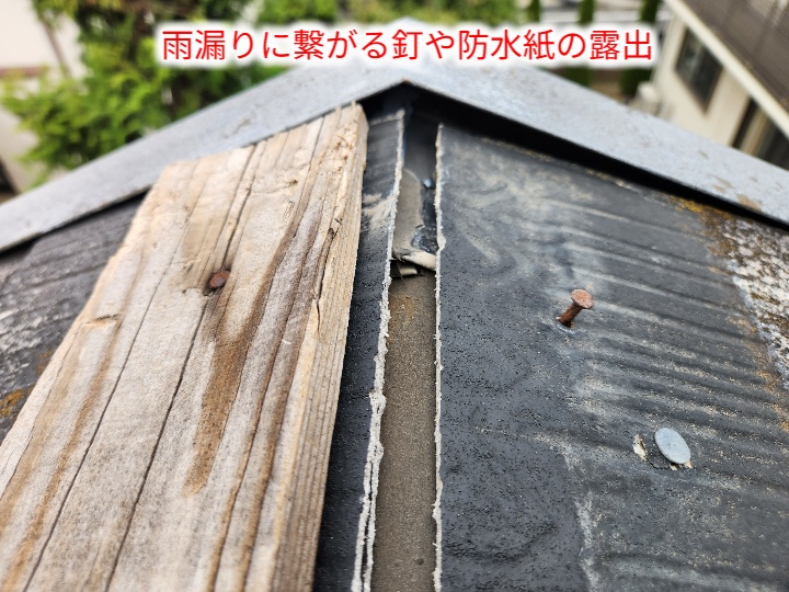 棟板金の飛散により防水紙と釘が露出