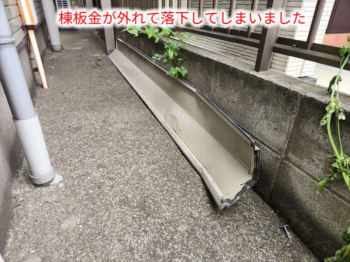 強風の影響で棟板金が落下