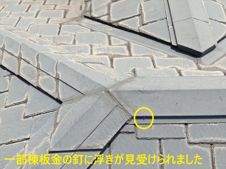 一部棟板金の釘に浮きが見受けられました