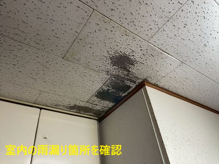 室内の雨漏り箇所を確認