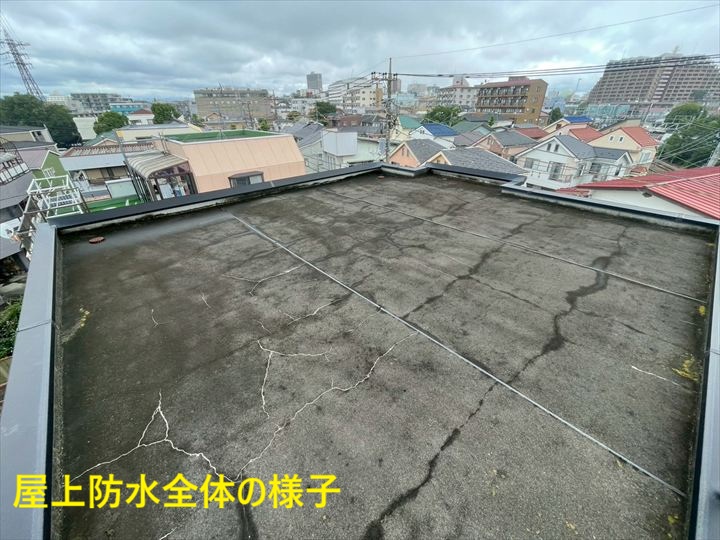 屋上防水全体の様子