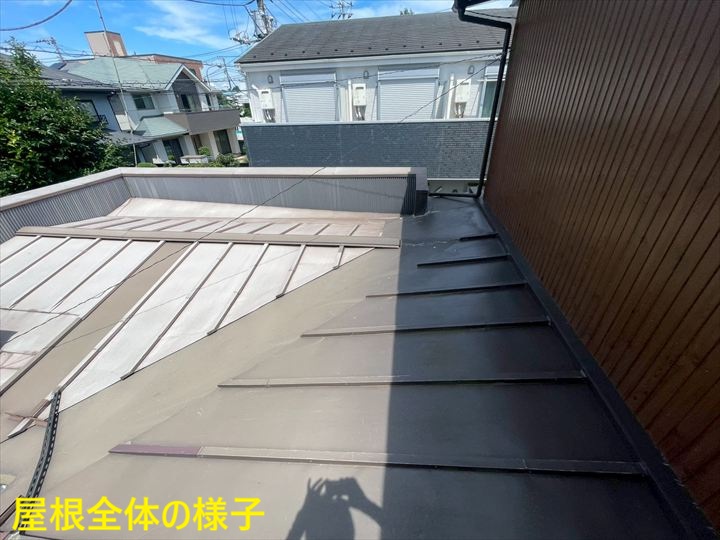 屋根全体の様子