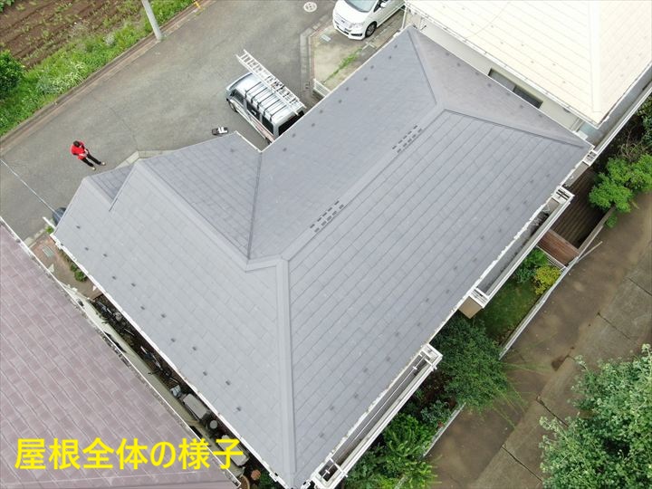 屋根全体の様子