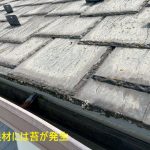 屋根材には苔が発生