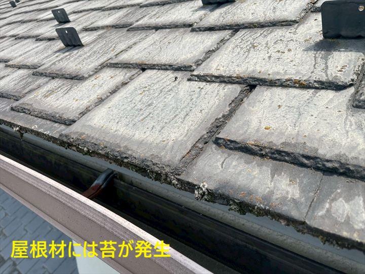 屋根材には苔が発生