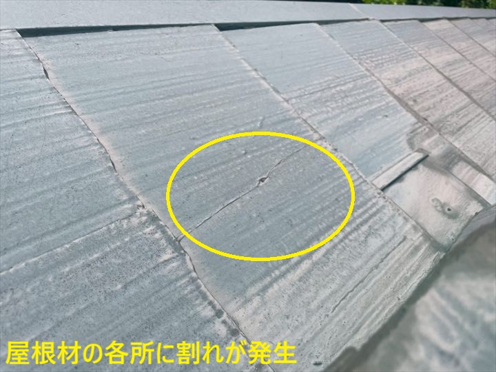 ブログタイトル