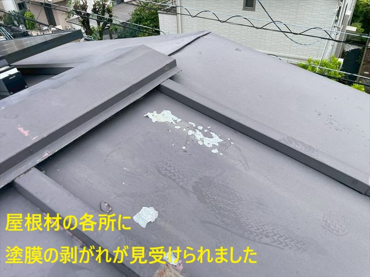 屋根材の各所に塗膜の剥がれが見受けられました