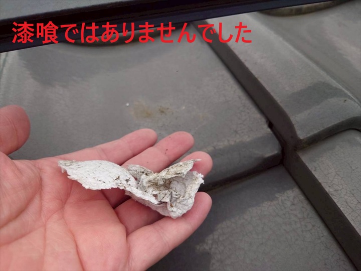 紙ごみでした