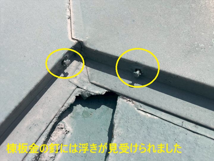 棟板金の釘には浮きが見受けられました