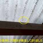 波板の各所に穴開きが発生しておりました
