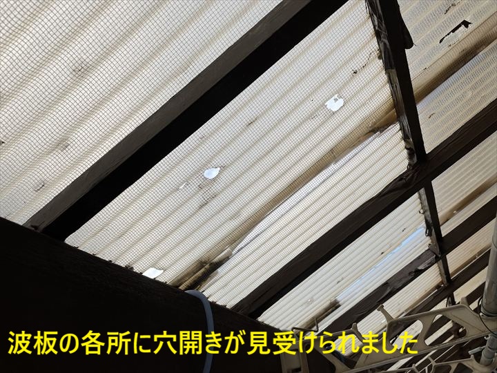 波板の各所に穴開きが見受けられました①