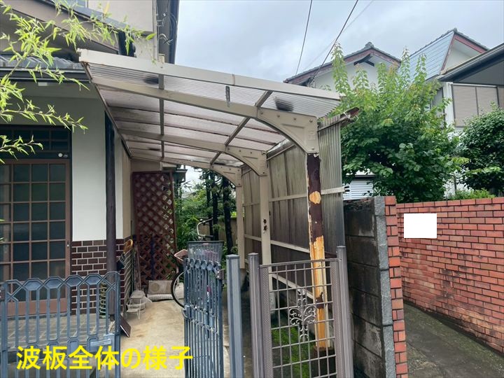 波板全体の様子