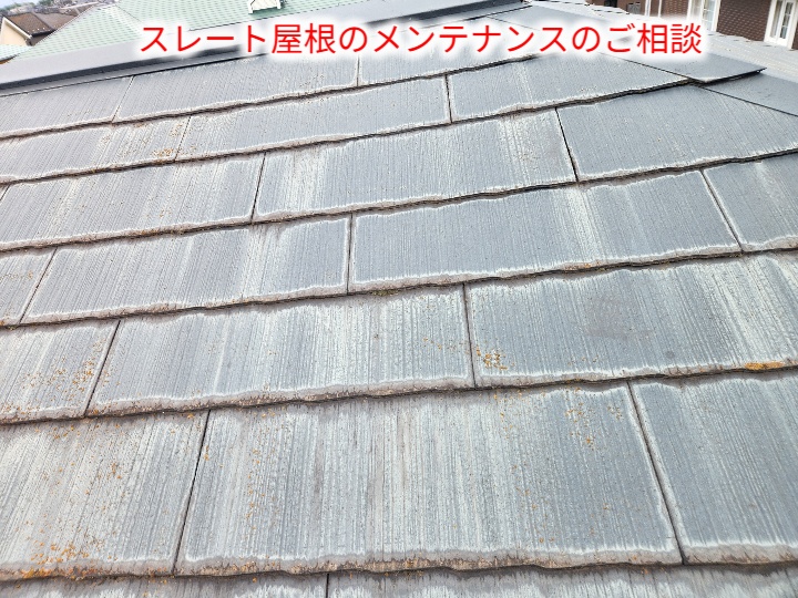 スレート屋根のメンテナンスのご相談
