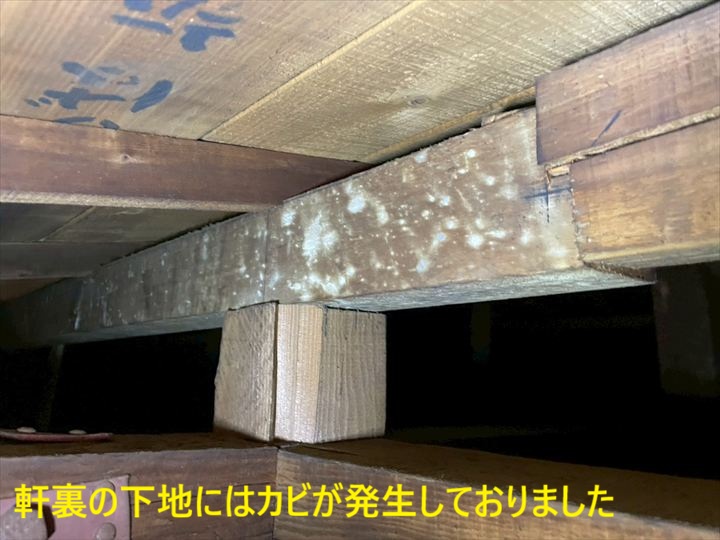 軒裏の下地にはカビが発生しておりました