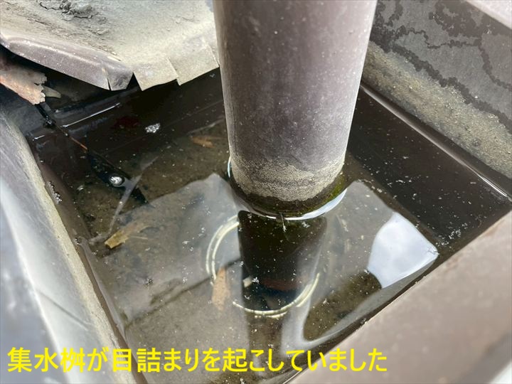 集水桝が目詰まりを起こしていました