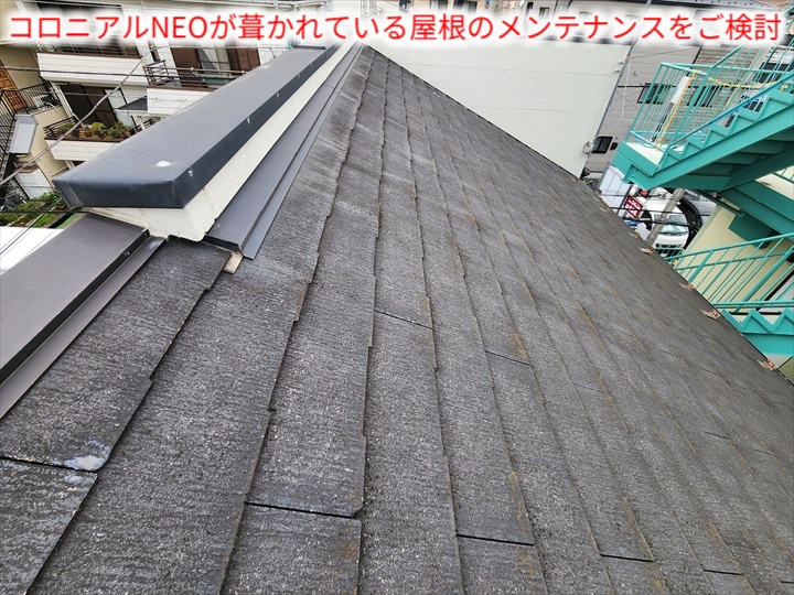 コロニアルNEOの屋根全景