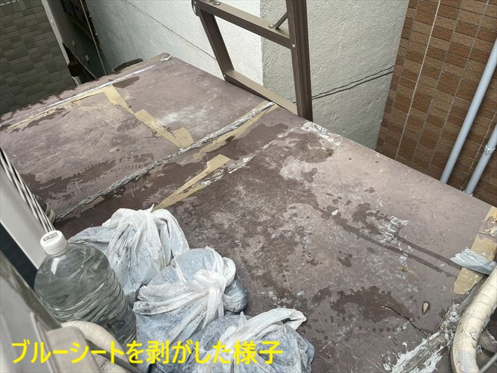 シート撤去後の板金屋根
