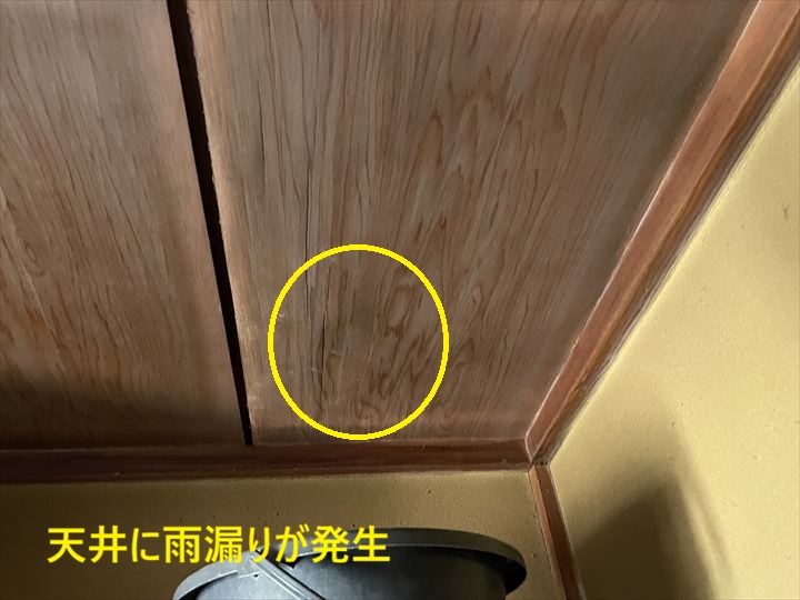 天井の雨漏り跡