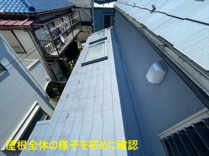天窓が並ぶ屋根全景