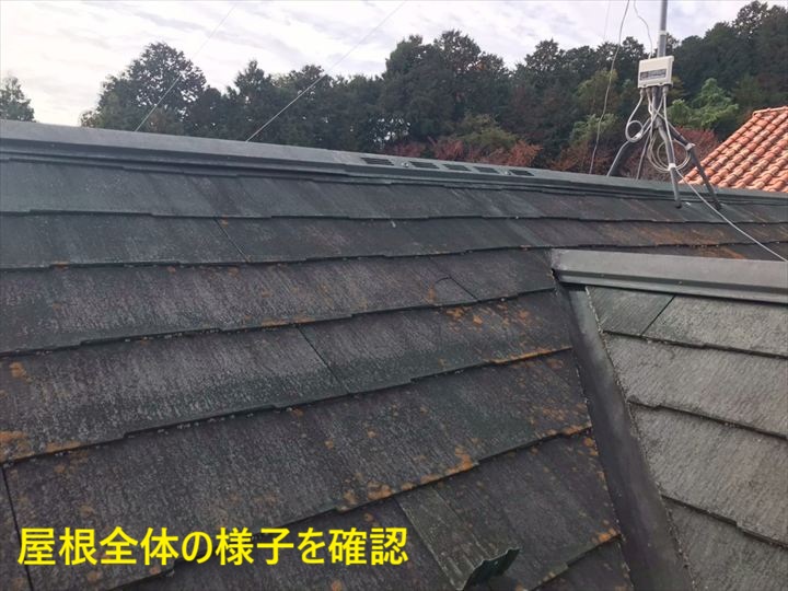 劣化した屋根全景