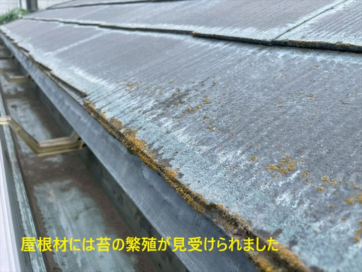 軒先の苔が付いた屋根