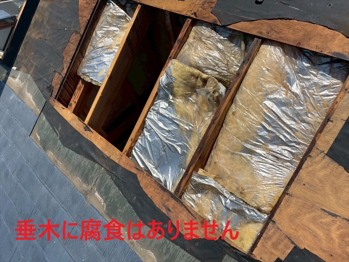 垂木の腐食確認