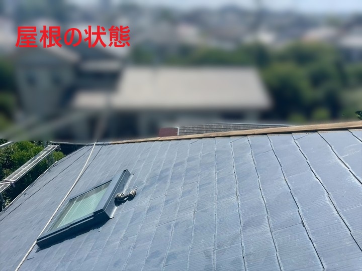 天窓付き屋根の全景