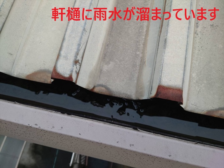 軒樋に溜まった雨水