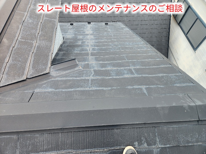 色あせたスレート屋根全景