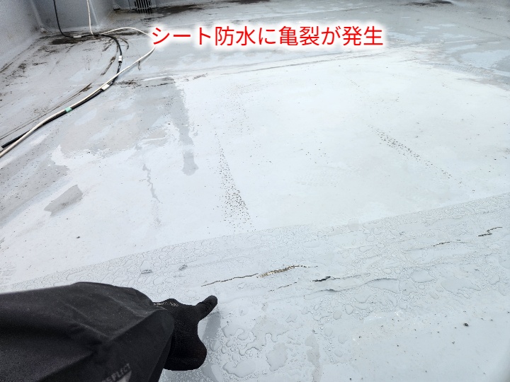 屋上防水の亀裂