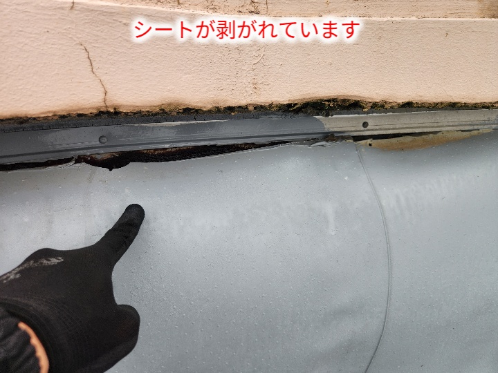 端部シート剥がれ
