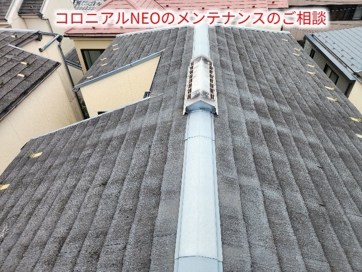 コロニアルNEO全景