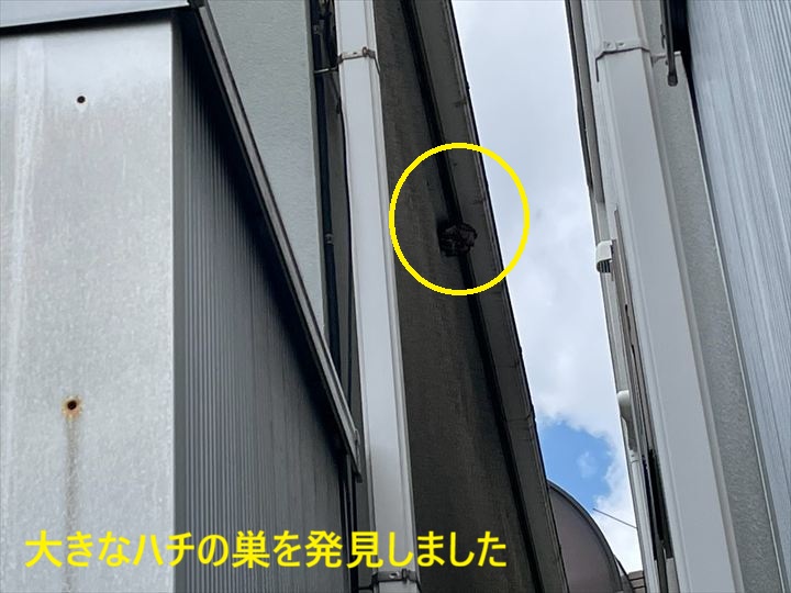 軒下の大きなハチの巣