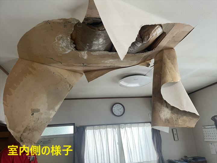 剥がれた天井クロス