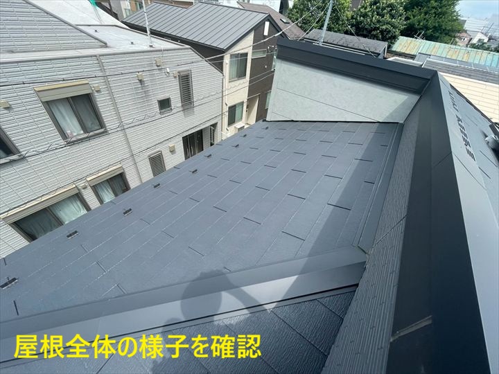 屋根全体の調査風景