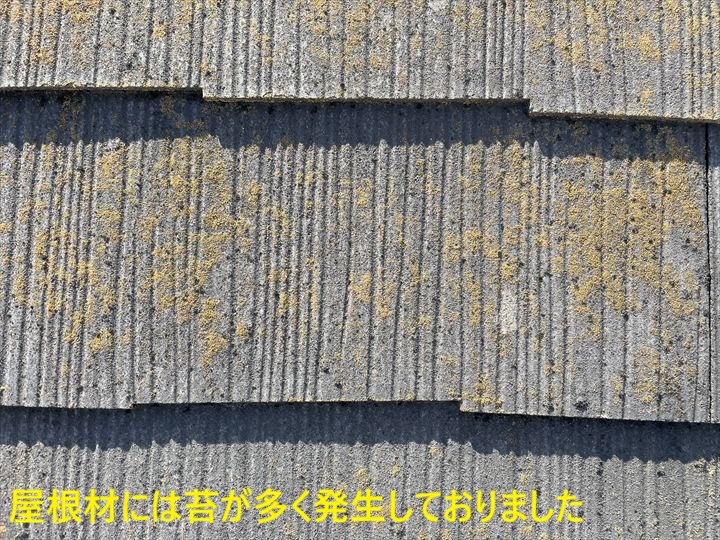 ブログタイトル