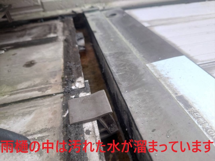 雨樋内の溜まり水