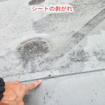 シート防水の剥がれ