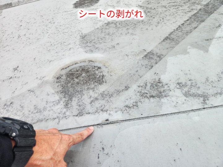 継ぎ目シートの剥がれ