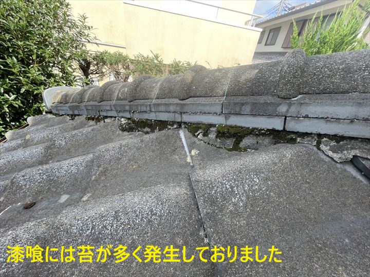 苔が発生した漆喰