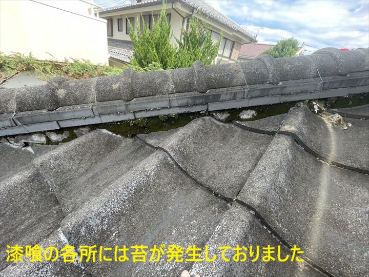 苔が発生した漆喰