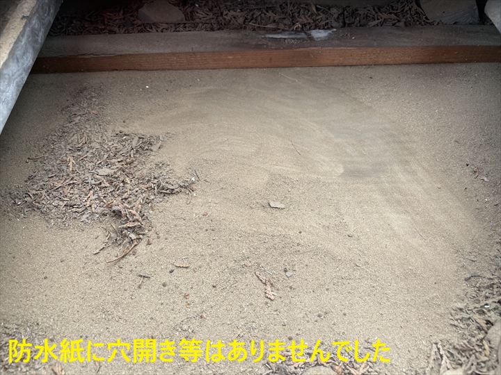 防水紙表面の確認状況