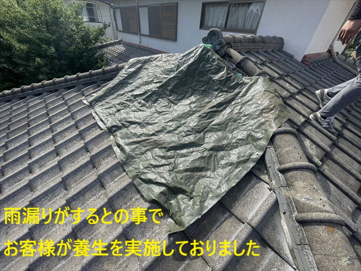養生された瓦屋根