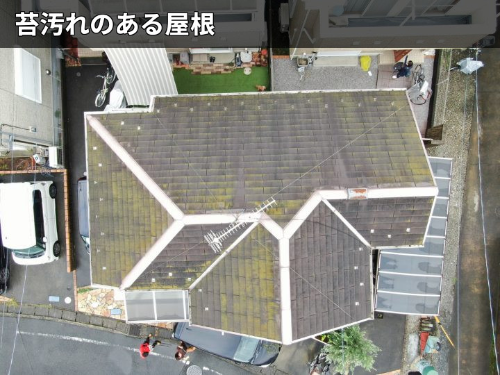 屋根全体の苔汚れ