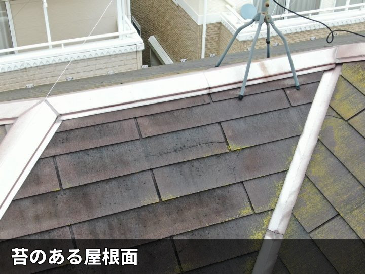棟付近の苔ある屋根面