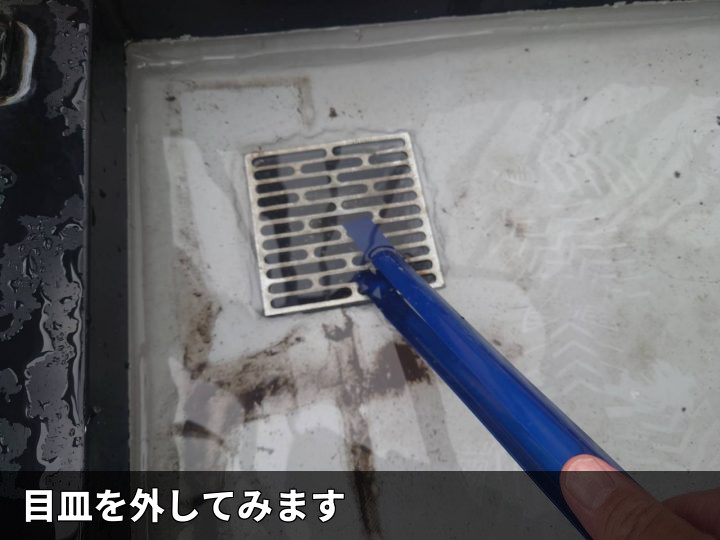 目皿を外す排水口調査