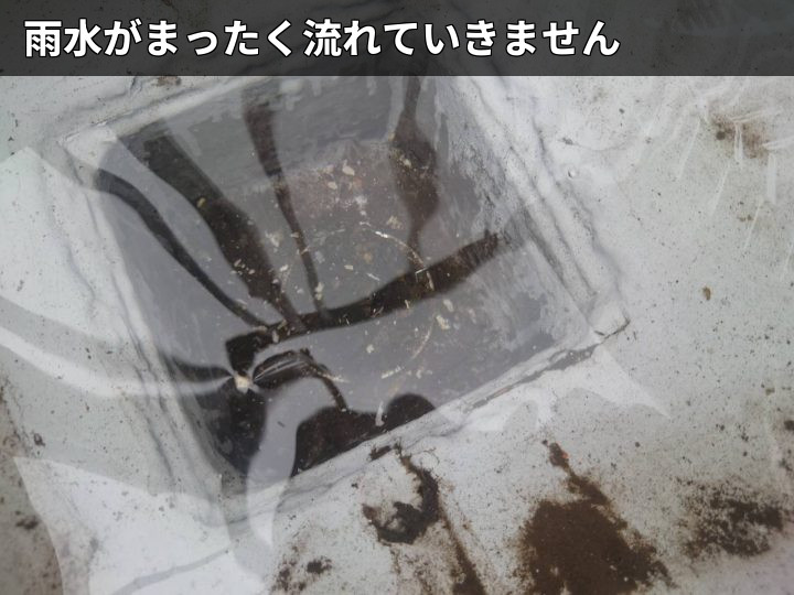水が引かない排水口内部